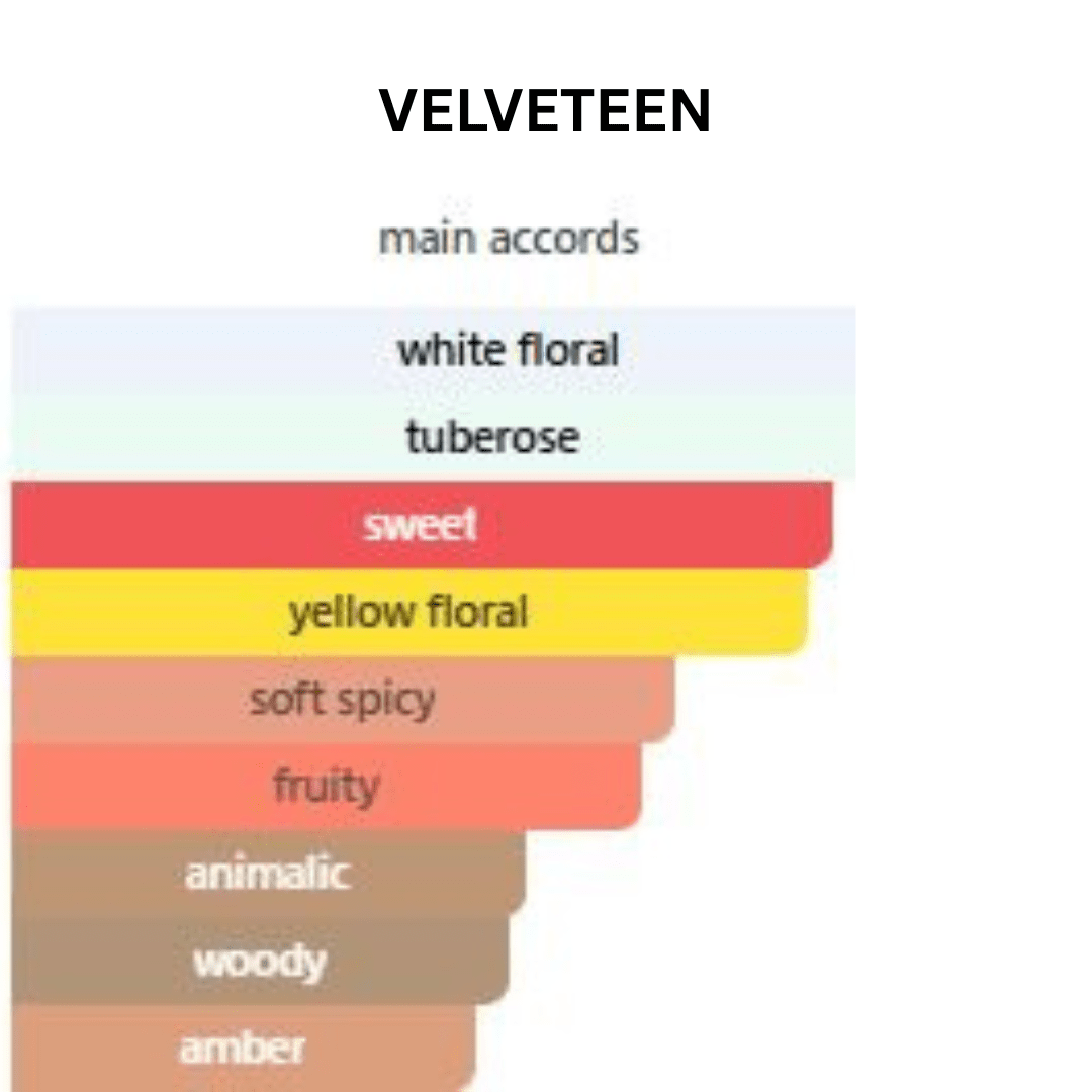 VELVETEEN | Eau De Parfum | Soft Floral Elegant Scent | 50 ml - HIJAZI PERFUMES